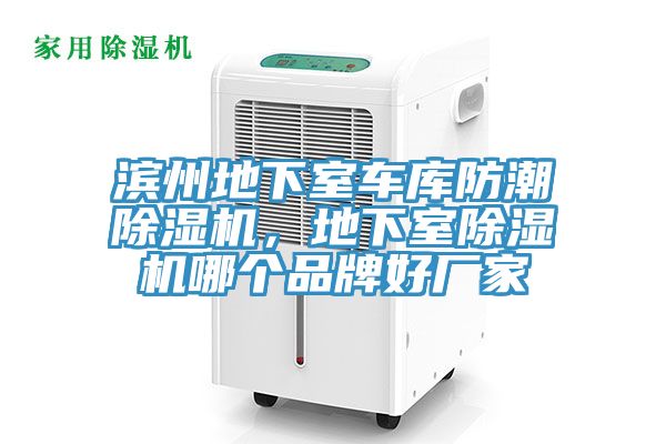 濱州地下室車庫防潮除濕機，地下室除濕機哪個品牌好廠家