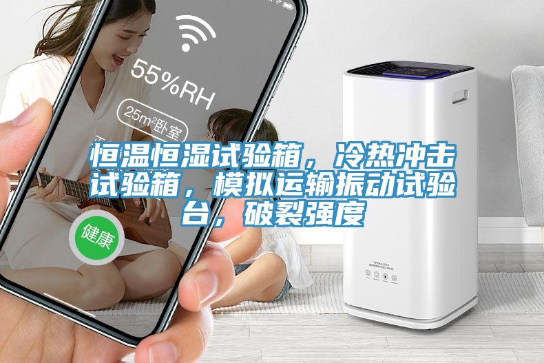 恒溫恒濕試驗箱，冷熱沖擊試驗箱，模擬運輸振動試驗臺，破裂強度