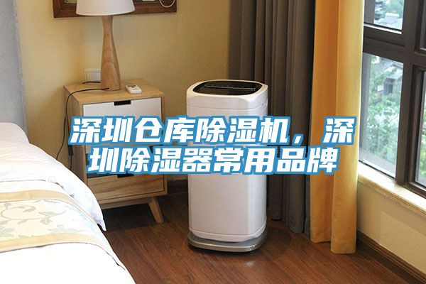 深圳倉(cāng)庫(kù)除濕機(jī)，深圳除濕器常用品牌