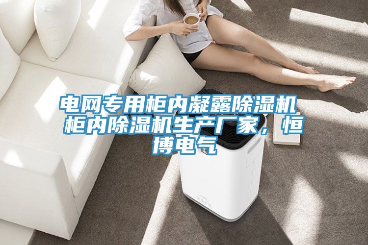 電網(wǎng)專用柜內(nèi)凝露除濕機 柜內(nèi)除濕機生產(chǎn)廠家，恒博電氣