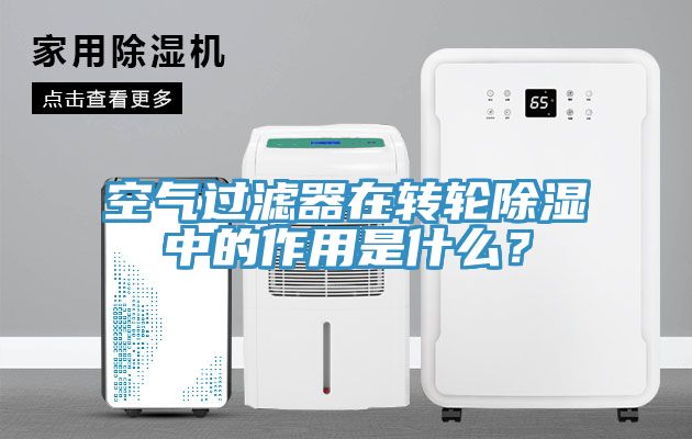 空氣過濾器在轉(zhuǎn)輪除濕中的作用是什么？
