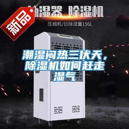 潮濕悶熱三伏天，除濕機(jī)如何趕走濕氣