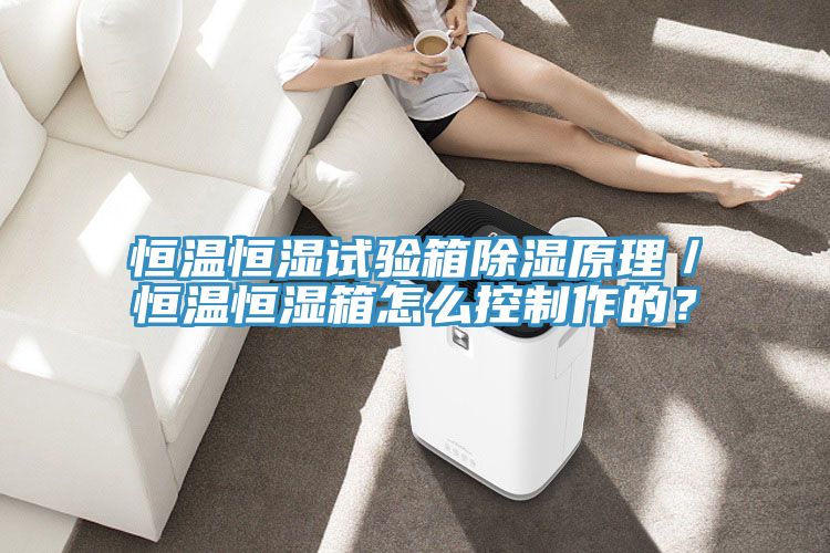 恒溫恒濕試驗(yàn)箱除濕原理／恒溫恒濕箱怎么控制作的？