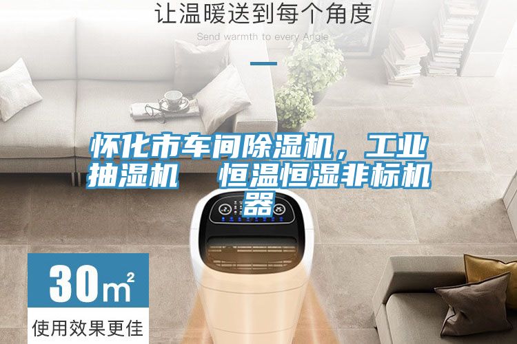懷化市車間除濕機(jī)，工業(yè)抽濕機(jī)  恒溫恒濕非標(biāo)機(jī)器