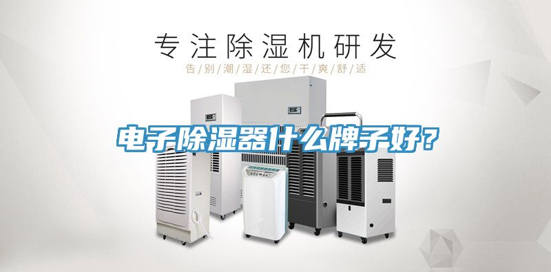 電子除濕器什么牌子好？