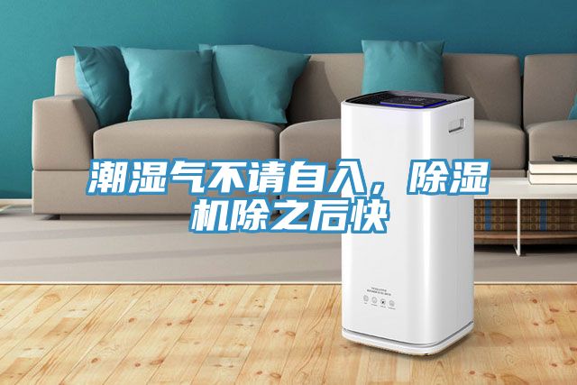 潮濕氣不請(qǐng)自入，除濕機(jī)除之后快