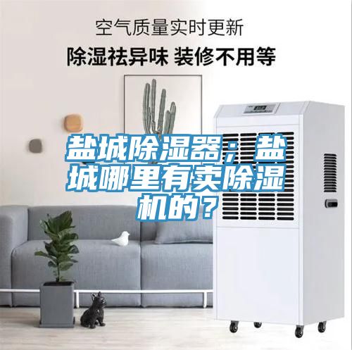 鹽城除濕器；鹽城哪里有賣除濕機的？