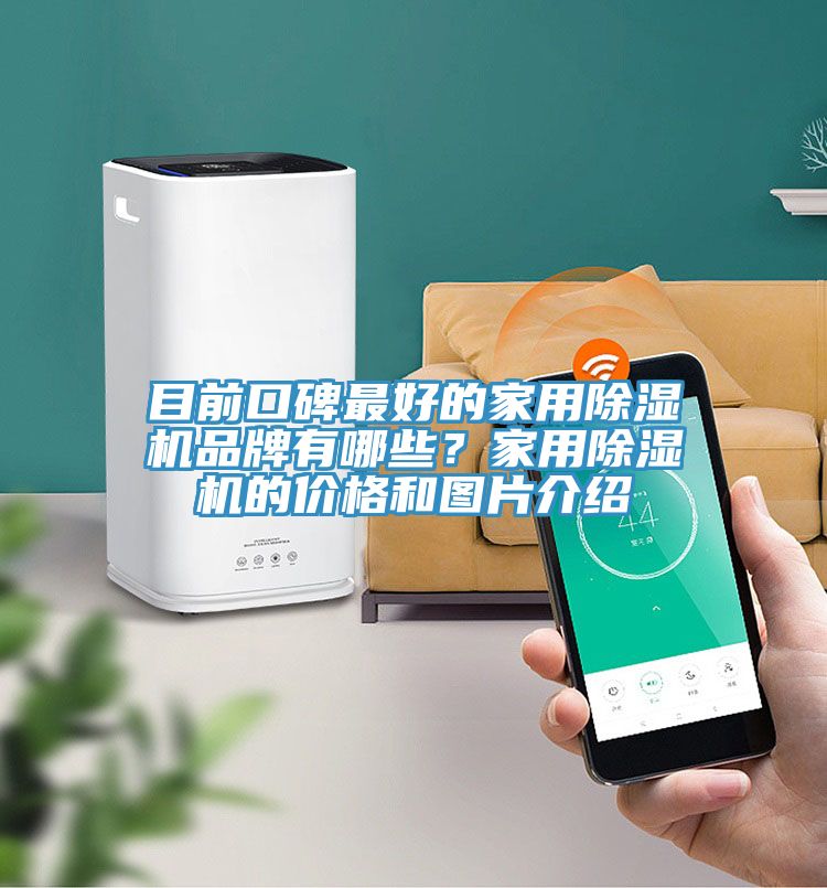 目前口碑最好的家用除濕機(jī)品牌有哪些？家用除濕機(jī)的價(jià)格和圖片介紹