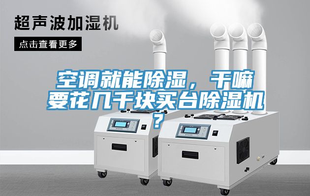 空調(diào)就能除濕，干嘛要花幾千塊買臺(tái)除濕機(jī)？