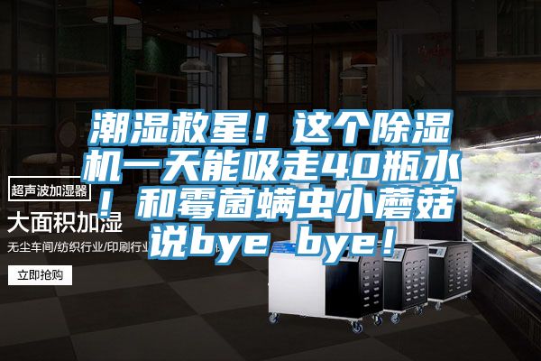 潮濕救星！這個(gè)除濕機(jī)一天能吸走40瓶水！和霉菌螨蟲(chóng)小蘑菇說(shuō)bye bye！
