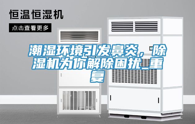 潮濕環(huán)境引發(fā)鼻炎，除濕機(jī)為你解除困擾_重復(fù)