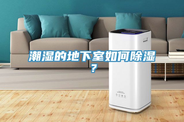 潮濕的地下室如何除濕？