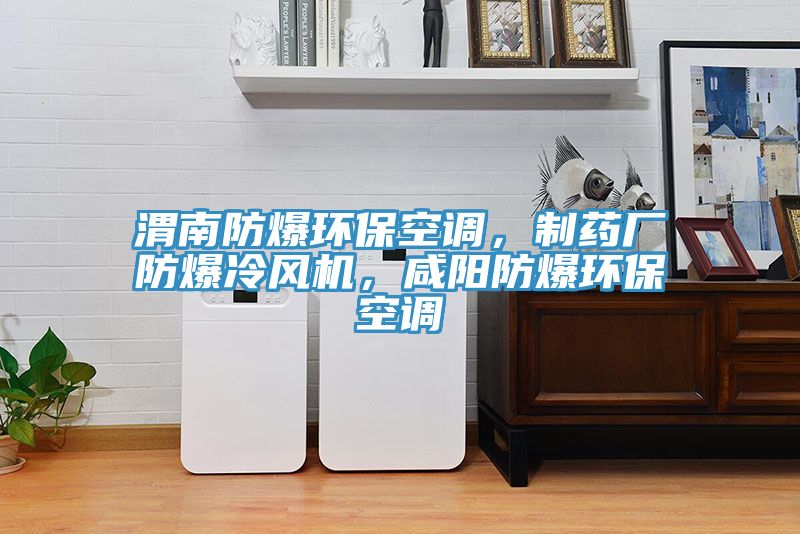 渭南防爆環(huán)?？照{(diào)，制藥廠防爆冷風(fēng)機(jī)，咸陽防爆環(huán)?？照{(diào)