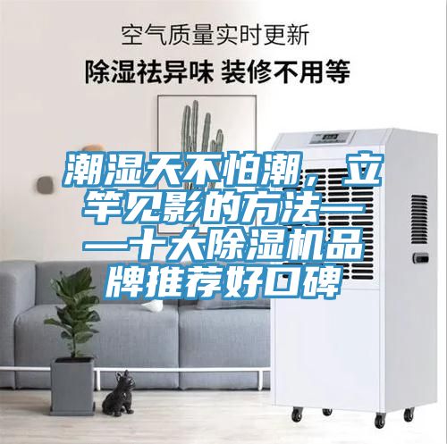 潮濕天不怕潮，立竿見(jiàn)影的方法——十大除濕機(jī)品牌推薦好口碑