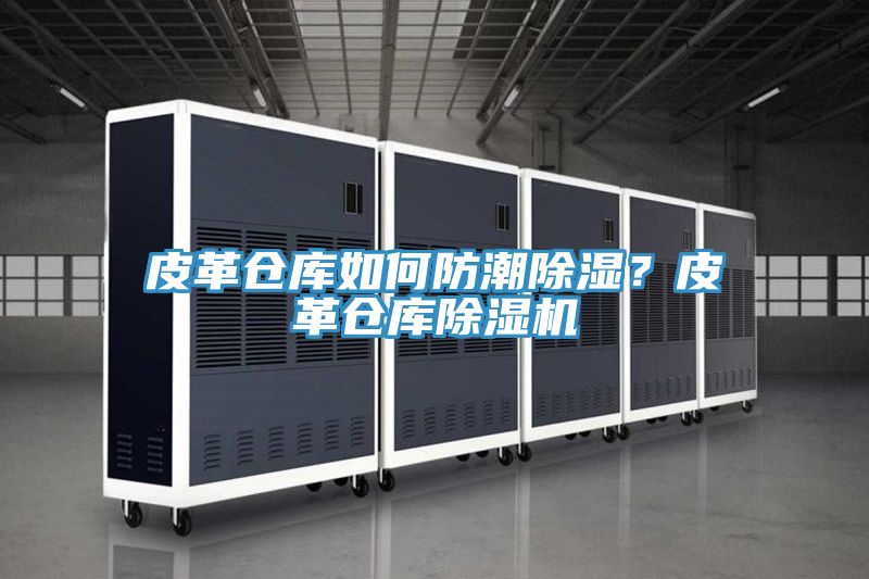 皮革倉(cāng)庫(kù)如何防潮除濕？皮革倉(cāng)庫(kù)除濕機(jī)