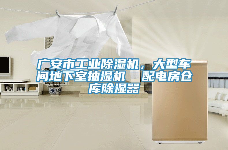 廣安市工業(yè)除濕機(jī)，大型車(chē)間地下室抽濕機(jī)  配電房倉(cāng)庫(kù)除濕器