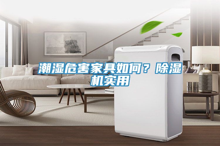 潮濕危害家具如何？除濕機(jī)實(shí)用