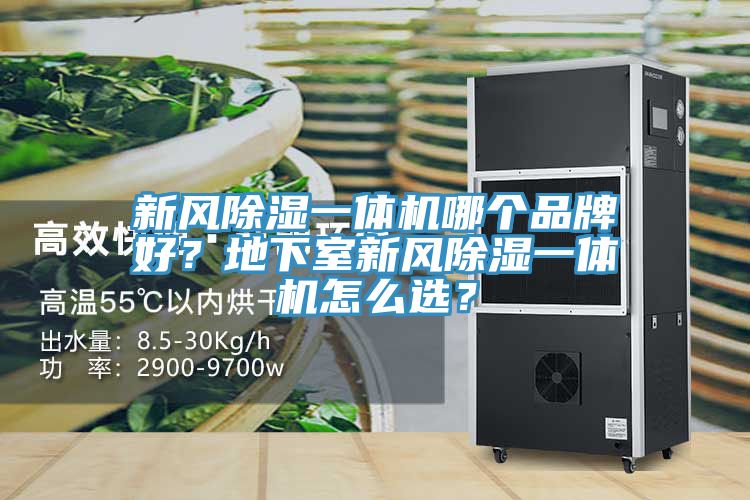 新風(fēng)除濕一體機(jī)哪個(gè)品牌好？地下室新風(fēng)除濕一體機(jī)怎么選？