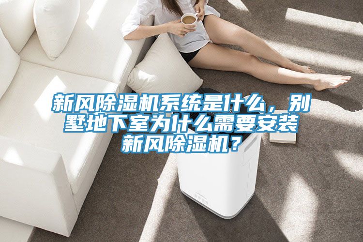 新風(fēng)除濕機(jī)系統(tǒng)是什么，別墅地下室為什么需要安裝新風(fēng)除濕機(jī)？
