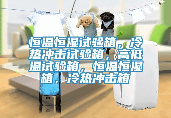 恒溫恒濕試驗箱，冷熱沖擊試驗箱，高低溫試驗箱，恒溫恒濕箱，冷熱沖擊箱