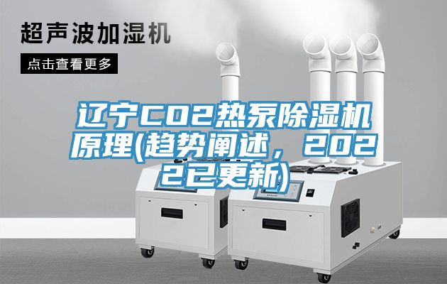 遼寧CO2熱泵除濕機原理(趨勢闡述，2022已更新)