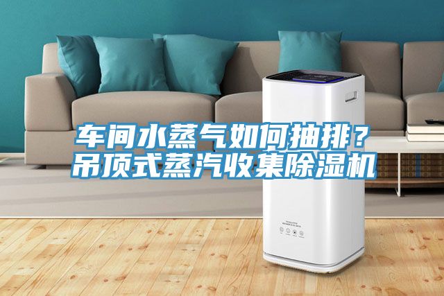 車間水蒸氣如何抽排？吊頂式蒸汽收集除濕機(jī)