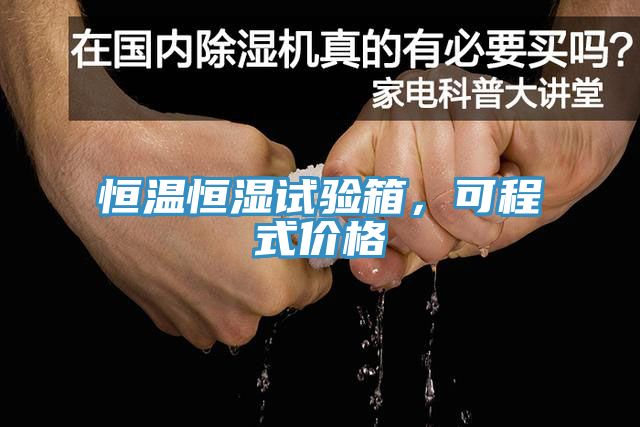 恒溫恒濕試驗箱，可程式價格