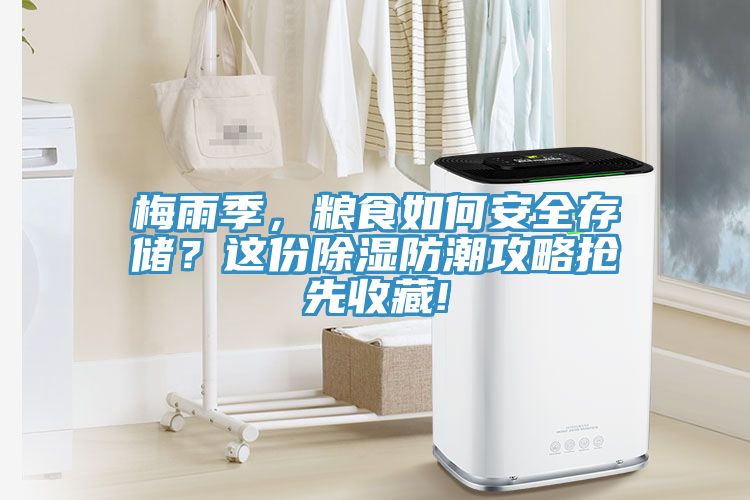 梅雨季，糧食如何安全存儲？這份除濕防潮攻略搶先收藏!