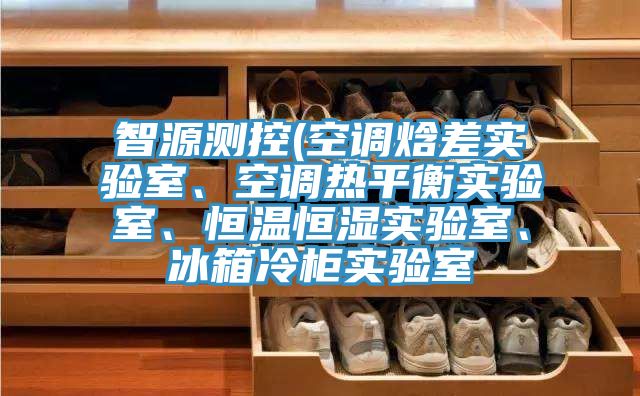 智源測控(空調(diào)焓差實(shí)驗(yàn)室、空調(diào)熱平衡實(shí)驗(yàn)室、恒溫恒濕實(shí)驗(yàn)室、冰箱冷柜實(shí)驗(yàn)室
