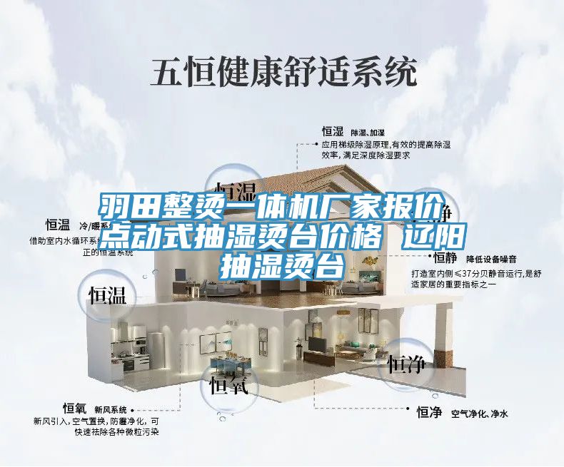 羽田整燙一體機(jī)廠家報(bào)價(jià) 點(diǎn)動式抽濕燙臺價(jià)格 遼陽抽濕燙臺