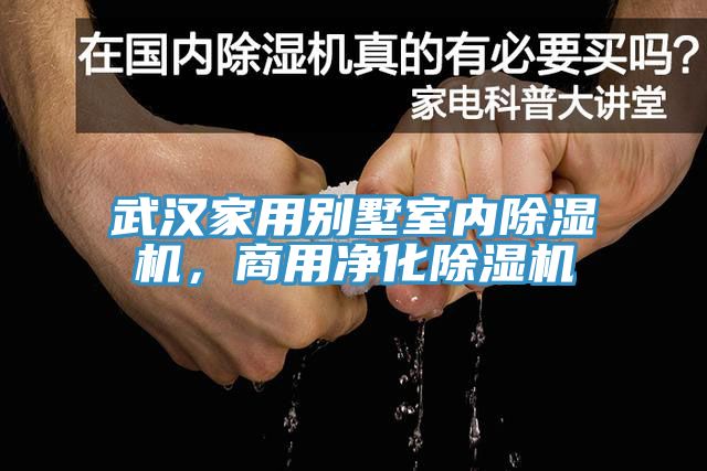 武漢家用別墅室內(nèi)除濕機(jī)，商用凈化除濕機(jī)