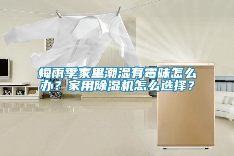 梅雨季家里潮濕有霉味怎么辦？家用除濕機怎么選擇？