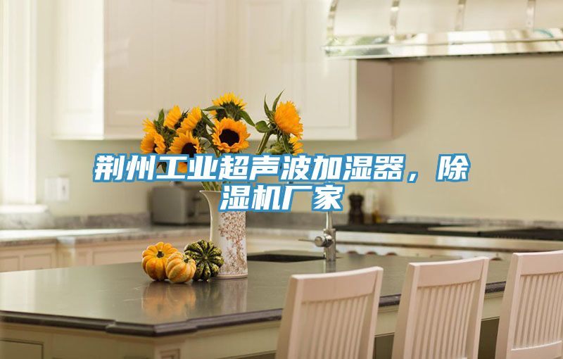 荊州工業(yè)超聲波加濕器，除濕機廠家
