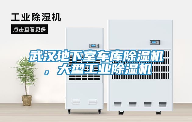 武漢地下室車庫(kù)除濕機(jī)，大型工業(yè)除濕機(jī)
