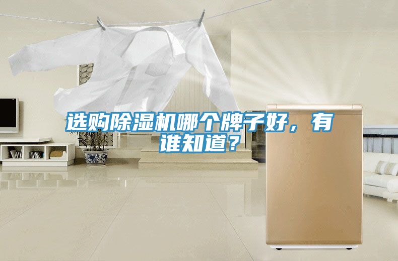 選購(gòu)除濕機(jī)哪個(gè)牌子好，有誰(shuí)知道？