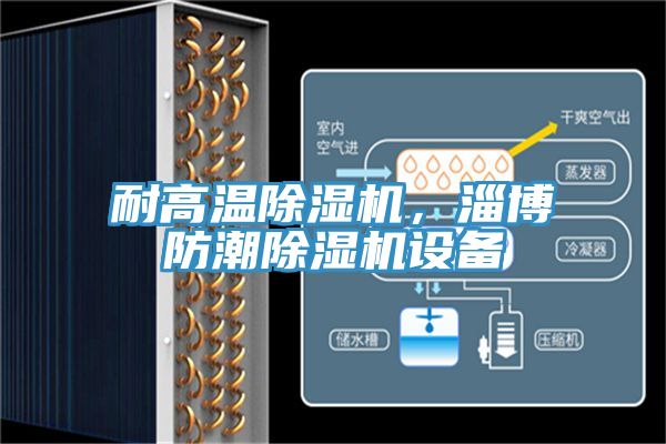 耐高溫除濕機(jī)，淄博防潮除濕機(jī)設(shè)備