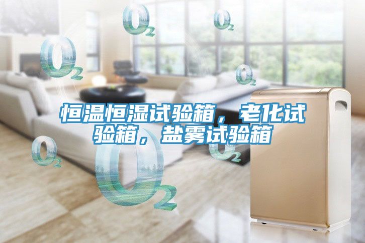 恒溫恒濕試驗箱，老化試驗箱，鹽霧試驗箱