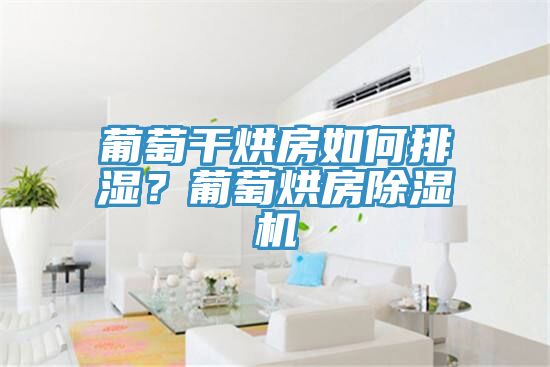 葡萄干烘房如何排濕？葡萄烘房除濕機