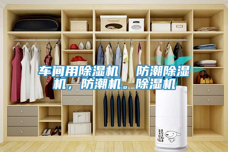車間用除濕機(jī)  防潮除濕機(jī)，防潮機(jī)。除濕機(jī)