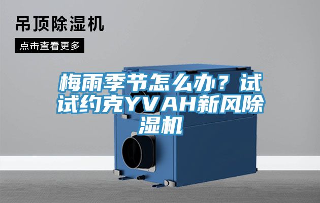 梅雨季節(jié)怎么辦？試試約克YVAH新風(fēng)除濕機