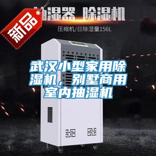 武漢小型家用除濕機(jī)，別墅商用室內(nèi)抽濕機(jī)