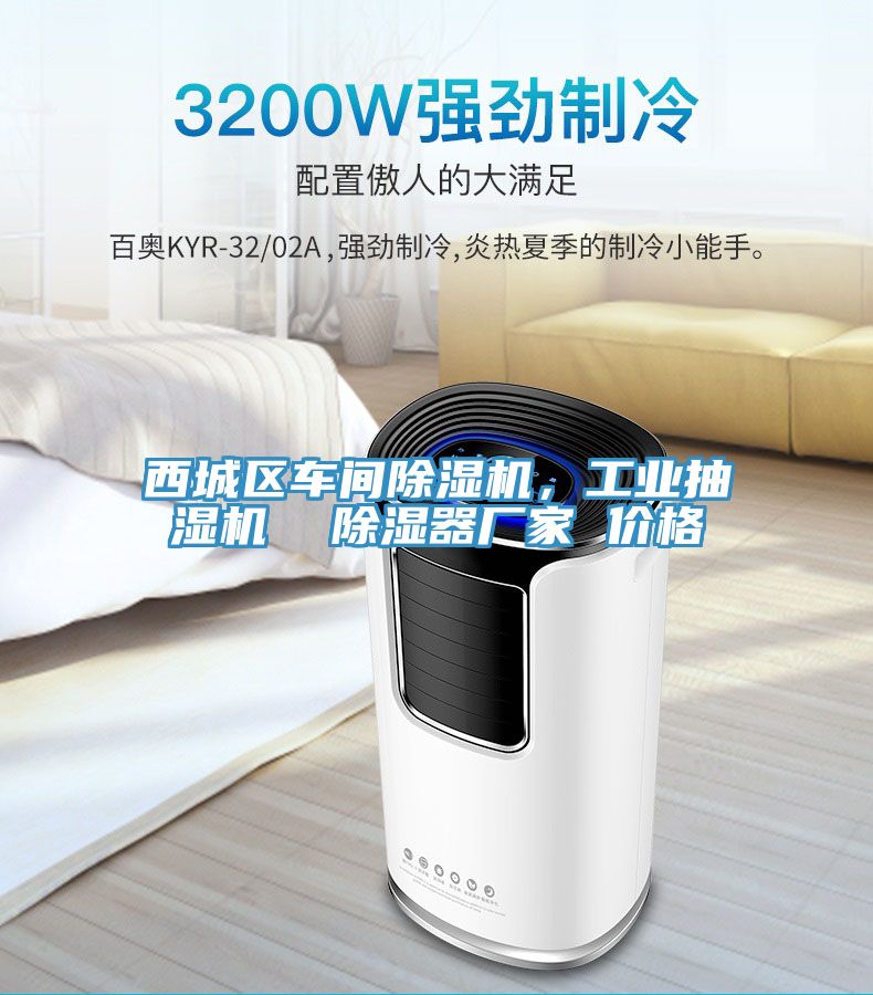 西城區(qū)車間除濕機，工業(yè)抽濕機  除濕器廠家 價格
