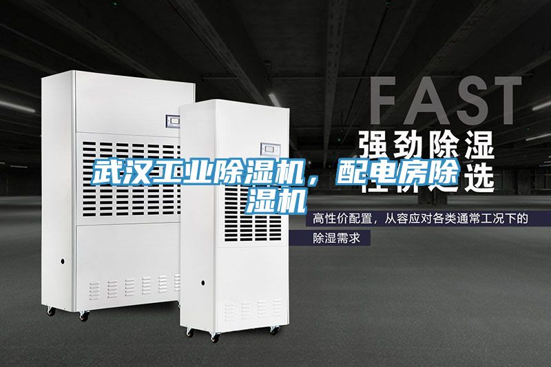 武漢工業(yè)除濕機(jī)，配電房除濕機(jī)