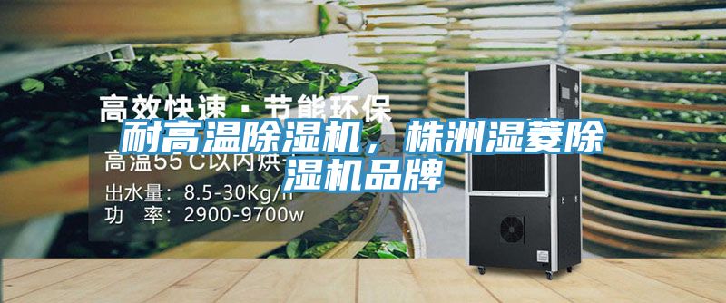 耐高溫除濕機(jī)，株洲濕菱除濕機(jī)品牌