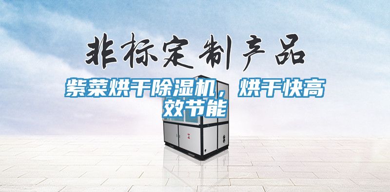 紫菜烘干除濕機，烘干快高效節(jié)能