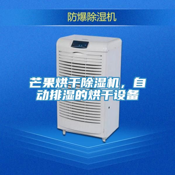 芒果烘干除濕機(jī)，自動(dòng)排濕的烘干設(shè)備