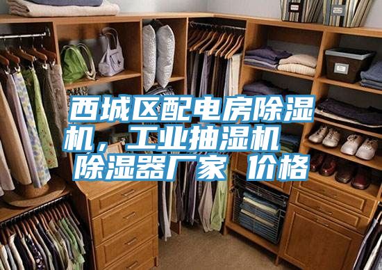 西城區(qū)配電房除濕機，工業(yè)抽濕機  除濕器廠家 價格