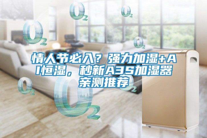 情人節(jié)必入？強力加濕+AI恒濕，秒新A3S加濕器親測推薦