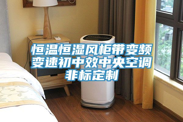 恒溫恒濕風(fēng)柜帶變頻變速初中效中央空調(diào)非標定制