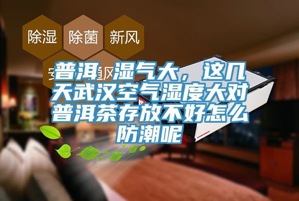 普洱 濕氣大，這幾天武漢空氣濕度大對(duì)普洱茶存放不好怎么防潮呢